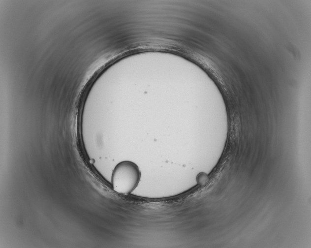 X0000112981130200909171333