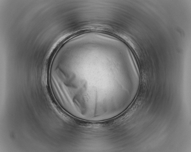 X0000112981131200909171333