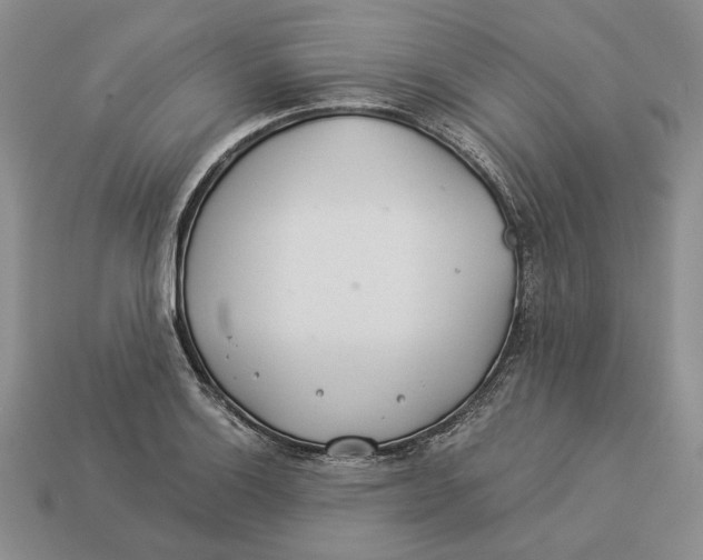 X0000112981132200909171333