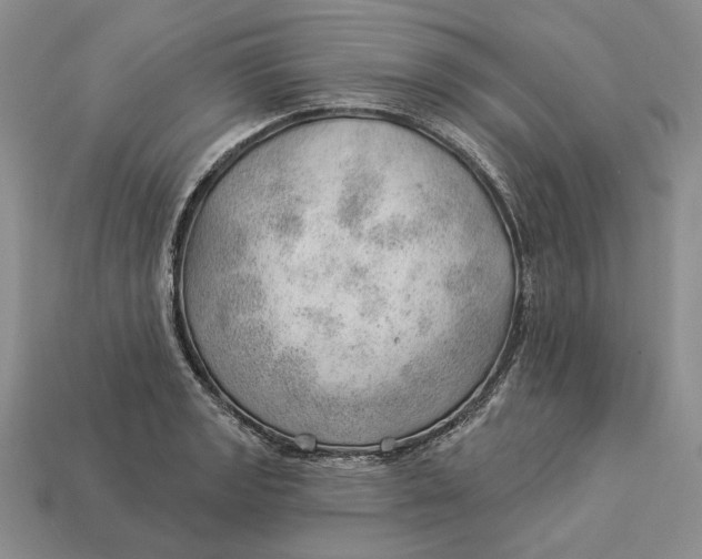 X0000112981133200909171333