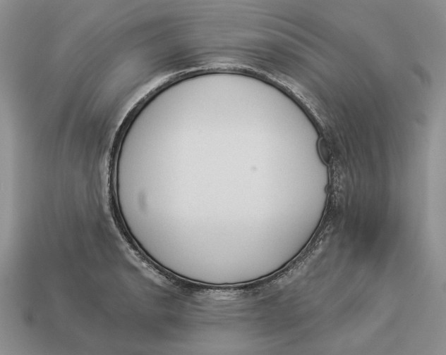 X0000112981134200909171333