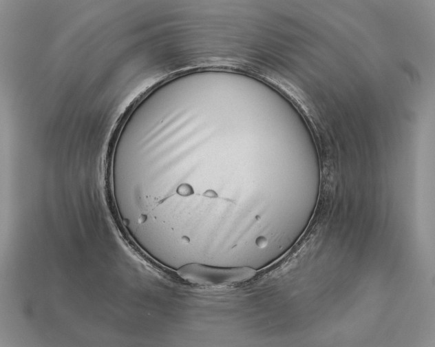 X0000112981135200909171333