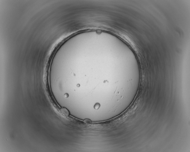 X0000112981136200909171333