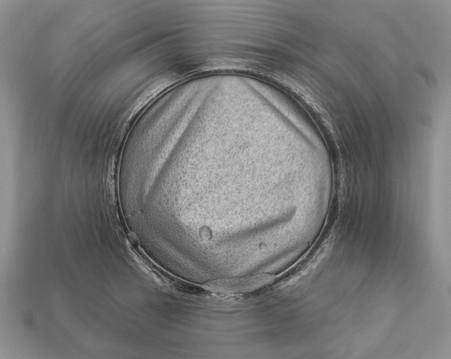 X0000112981137200909171333