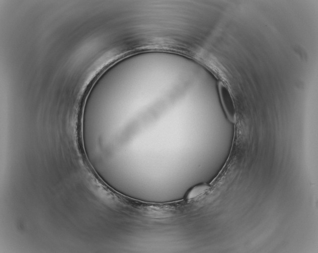 X0000112981138200909171333