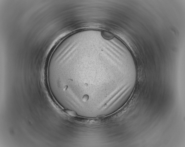 X0000112981139200909171333