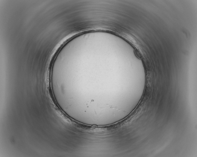 X0000112981140200909171333