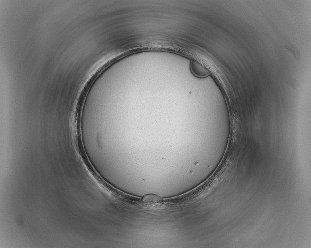 X0000112981141200909171333