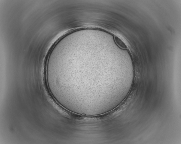 X0000112981142200909171333