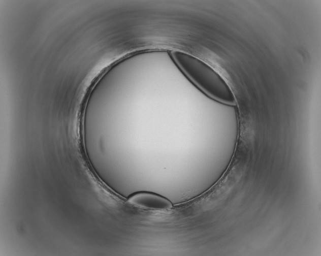 X0000112981144200909171333