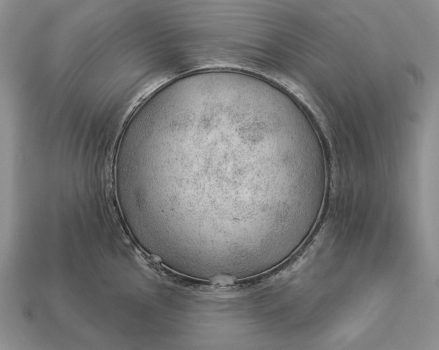 X0000112981145200909171333