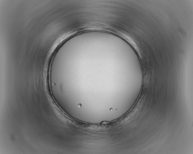 X0000112981146200909171333