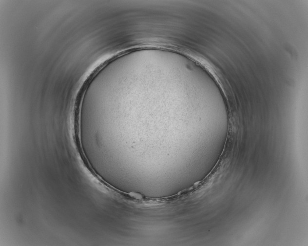 X0000112981147200909171333