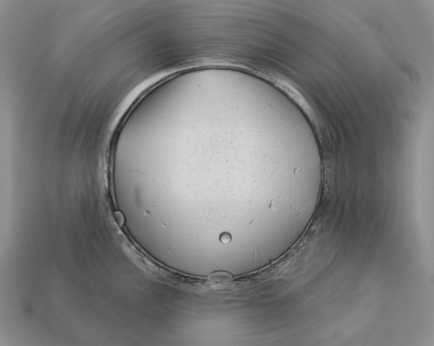 X0000112981148200909171333