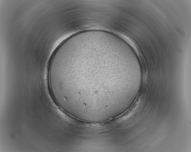 X0000112981149200909171333