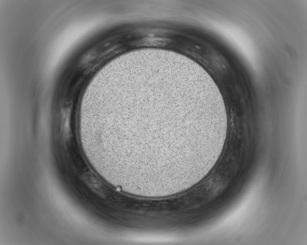 X0000112981150200909171333