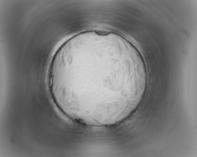 X0000112981152200909171333