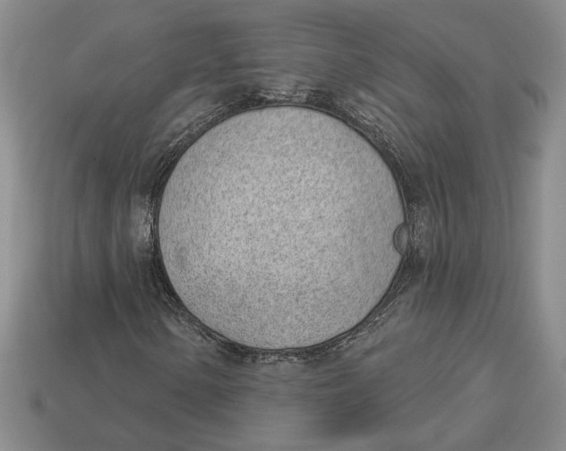 X0000112981154200909171333