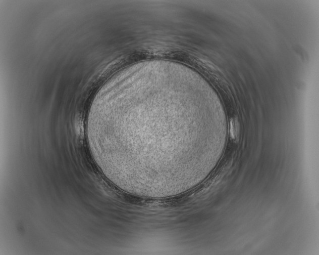 X0000112981155200909171333