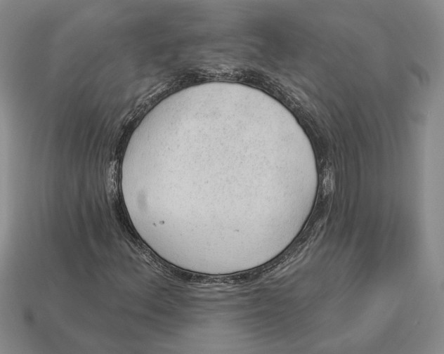 X0000112981156200909171333