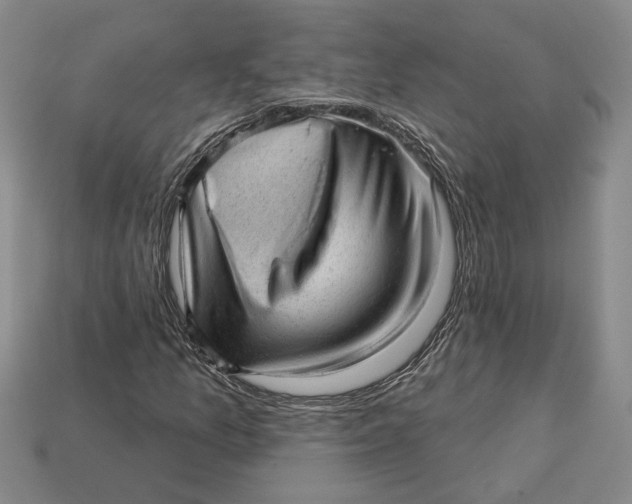 X0000112981157200909171333