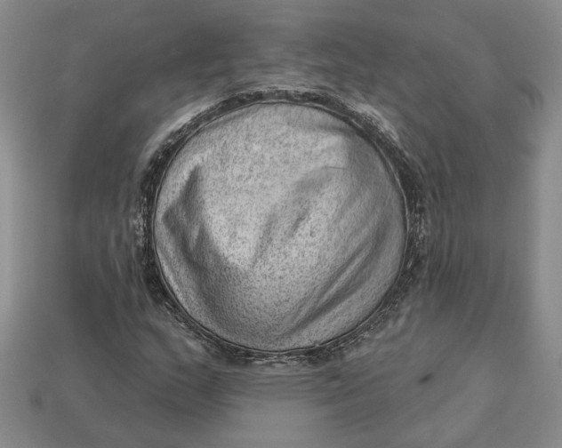 X0000112981159200909171332