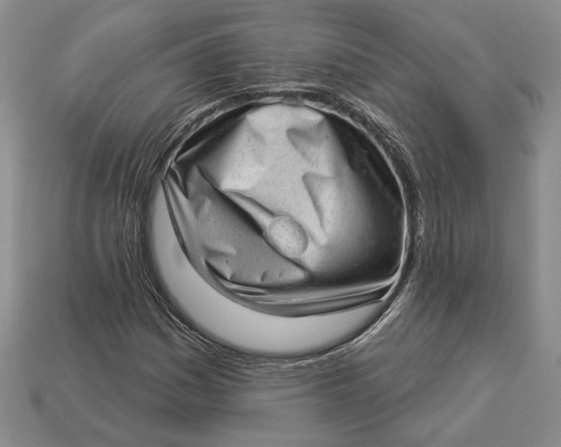 X0000112981161200909171332