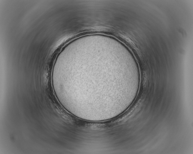 X0000112981163200909171332