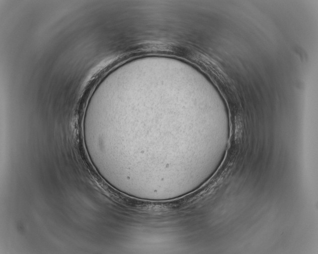 X0000112981164200909171332