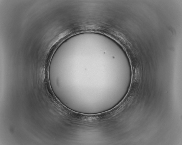 X0000112981165200909171332