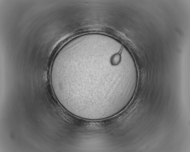 X0000112981166200909171332