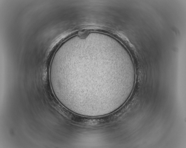 X0000112981167200909171332