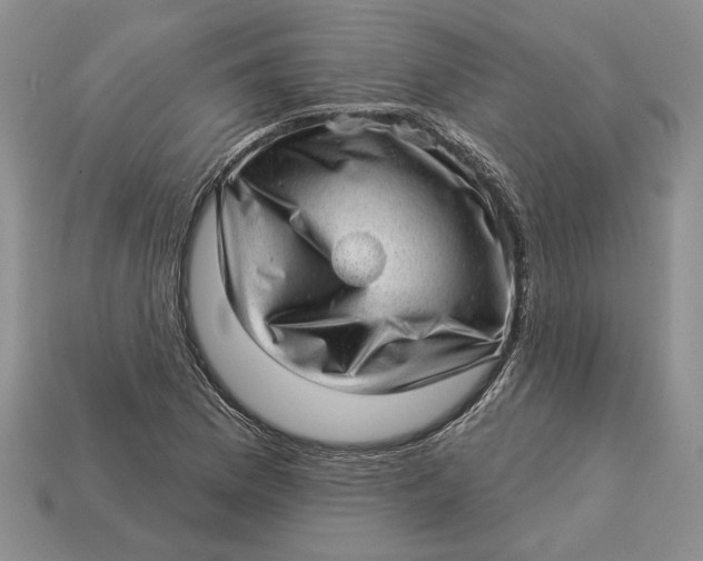 X0000112981169200909171332