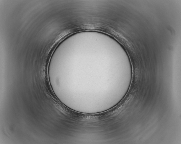 X0000112981170200909171332