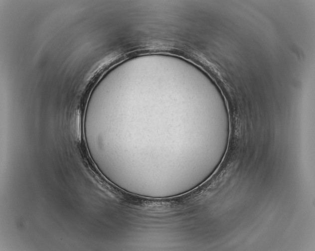 X0000112981171200909171332