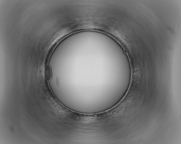 X0000112981173200909171332