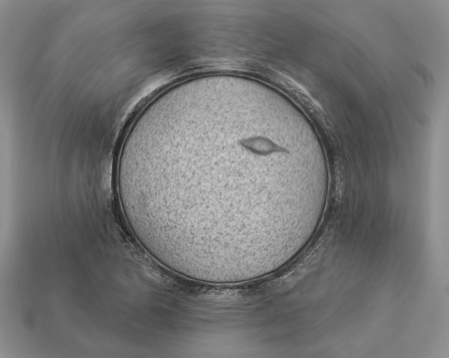 X0000112981174200909171332