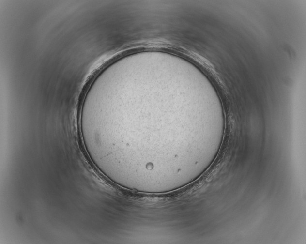 X0000112981176200909171332