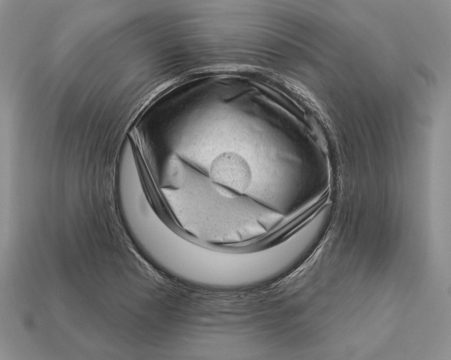 X0000112981177200909171332