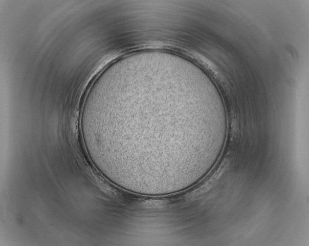 X0000112981178200909171332