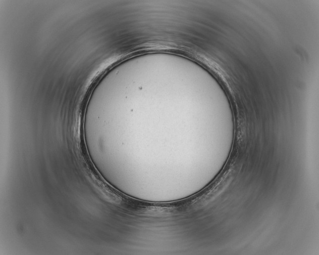 X0000112981179200909171332