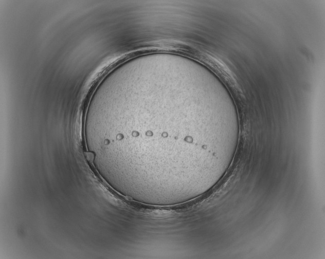 X0000112981180200909171332