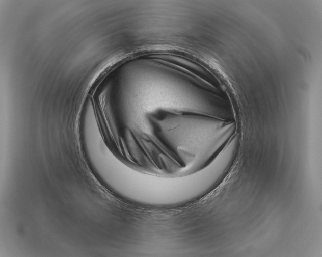 X0000112981181200909171332