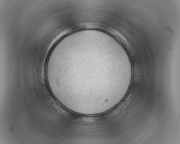 X0000112981182200909171332