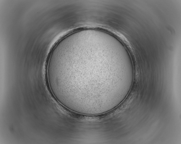 X0000112981183200909171332