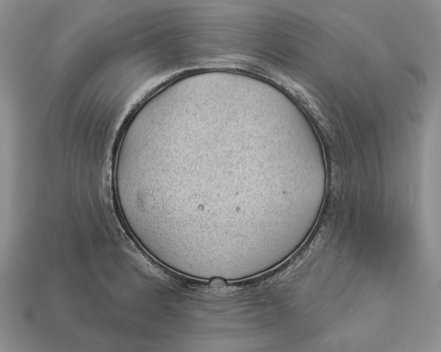 X0000112981184200909171332