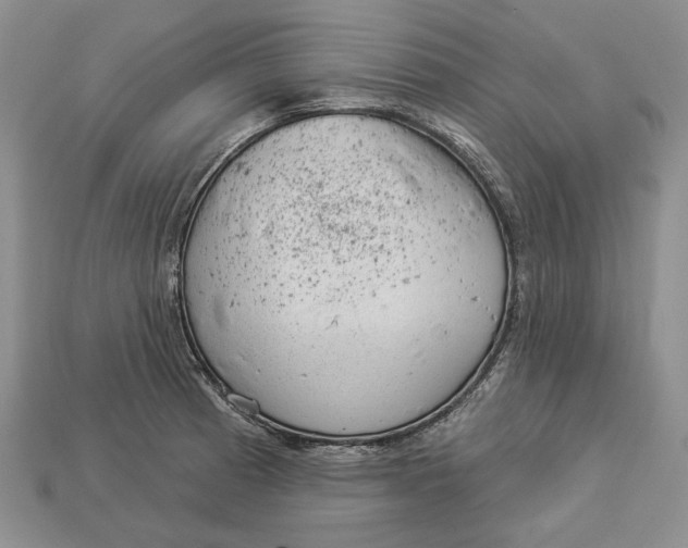 X0000112981185200909171332