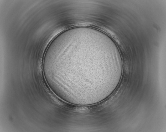 X0000112981186200909171332