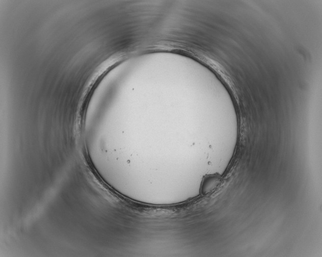 X0000112981187200909171332