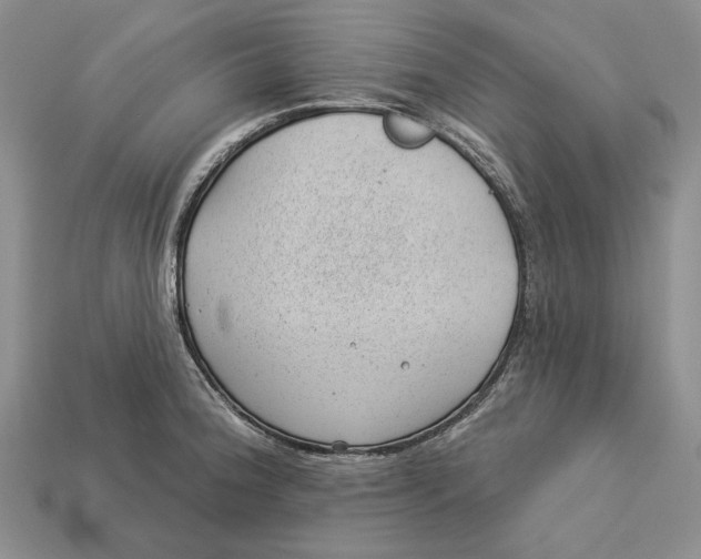 X0000112981188200909171332